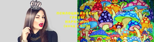 мефедрон мука Алексеевка