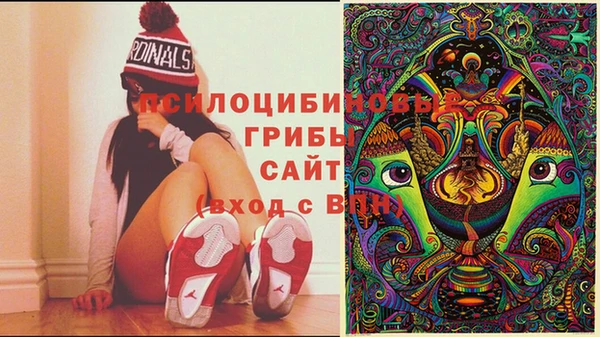 прущие крисы Алзамай