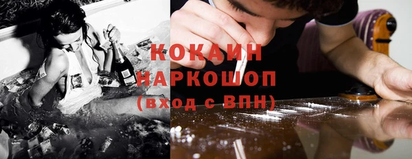 тгк Абаза