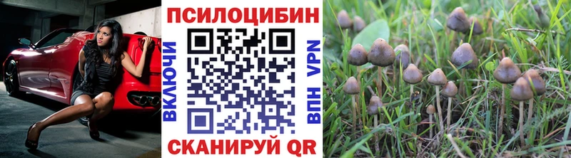 Галлюциногенные грибы Psilocybe купить наркотики сайты Кемь